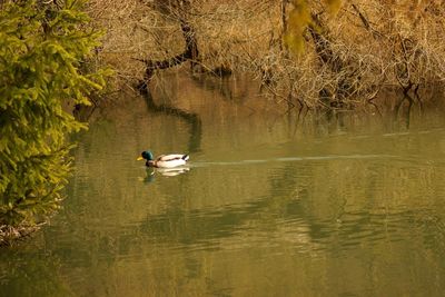 Man sitting in a lake