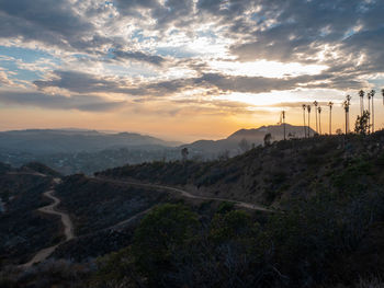 Beautiful view of the hills of hollywood in the summer at sunset.