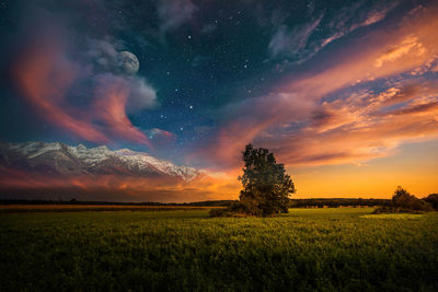 Scenic view of field against sky during sunset