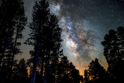 Low angle view of silhouette trees against sky at night