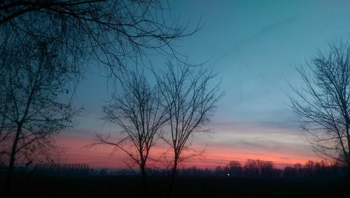 Silhouette bare trees against sky during sunset