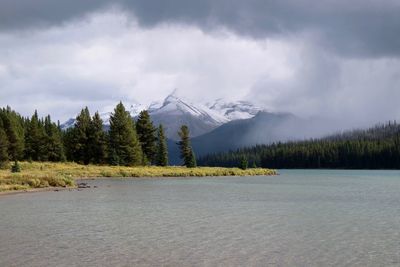 Scenic view of lake by trees against sky