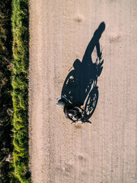 From above aerial view of person driving motorbike on rural road in sunlight in countryside