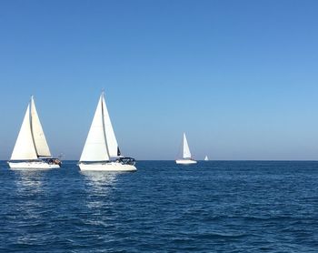 Sailboat sailing in sea