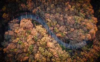 High angle view of bridge amidst trees in forest