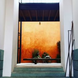 Potted plants on balcony of building