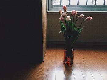 Potted plant in pot