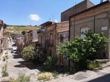 Plants and old building against sky