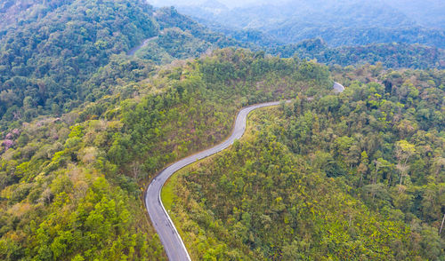 Aerial view of road amidst trees in forest