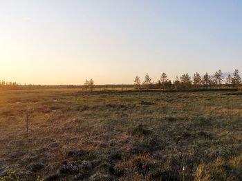 Scenic view of field against clear sky during sunset