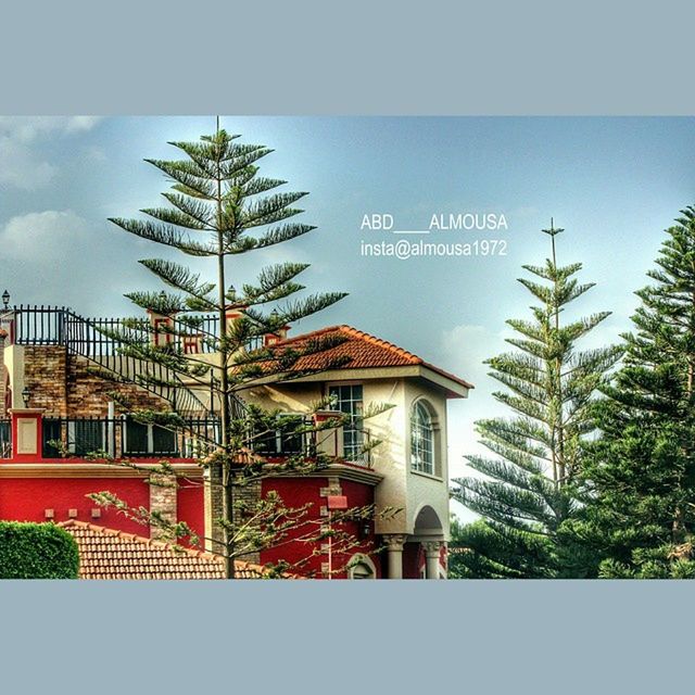 architecture, building exterior, built structure, palm tree, tree, sky, blue, house, clear sky, day, railing, potted plant, residential structure, residential building, low angle view, balcony, outdoors, window, roof, no people