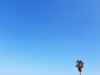 Low angle view of blue sky