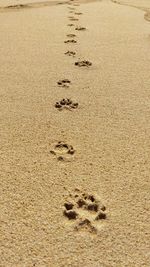 High angle view of footprints on sand at beach