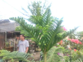 Young couple on tree against sky
