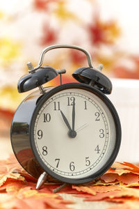 Close-up of alarm clock on autumn leaves
