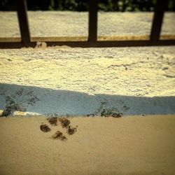 Close-up of shadow on ground