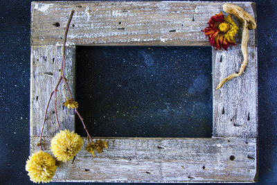 Close-up of yellow flower on window