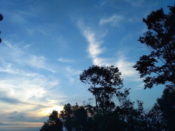 Low angle view of silhouette trees against sky