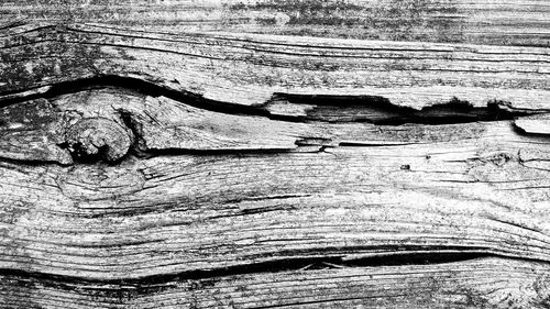Full frame of knotted wood