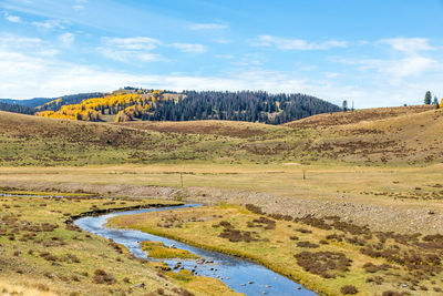 Scenic view of landscape against sky