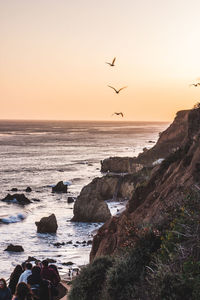 Birds flying over sea against sky