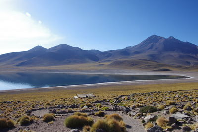 Scenic view of landscape against blue sky