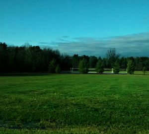 Scenic view of grassy field against sky