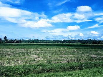 Scenic view of field against sky