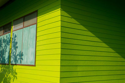 Full frame shot of yellow leaves
