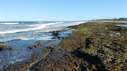 Scenic view of beach against clear sky