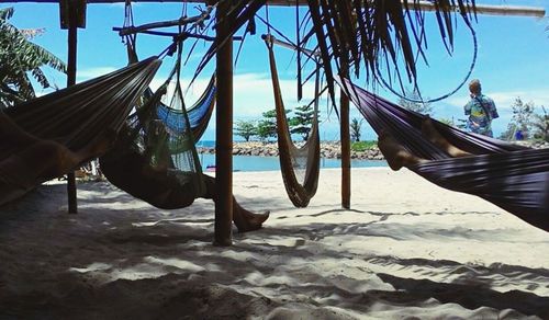 View of trees against sky