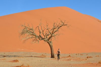 Rear view of person walking on sand dune against clear sky