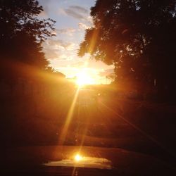 Sun shining through trees at sunset