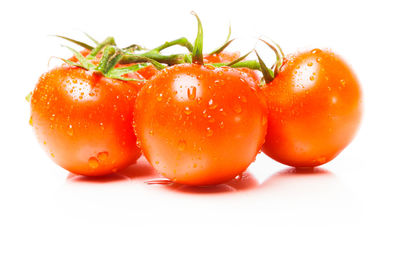 Close-up of tomatoes against white background