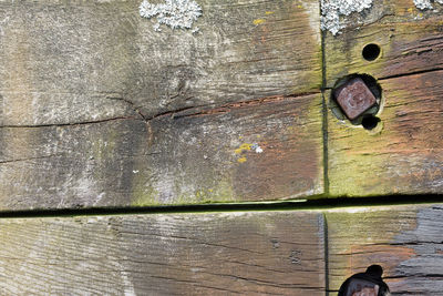 Close-up low section of door