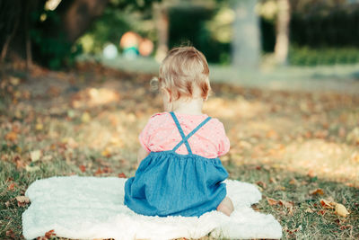 Rear view of girl sitting on field