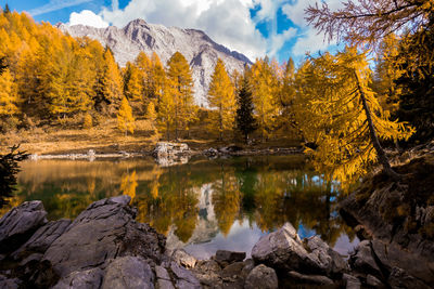 Scenic view of lake by trees during autumn