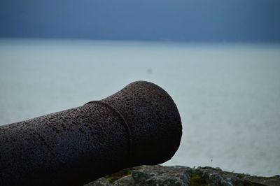 Cannons against sea