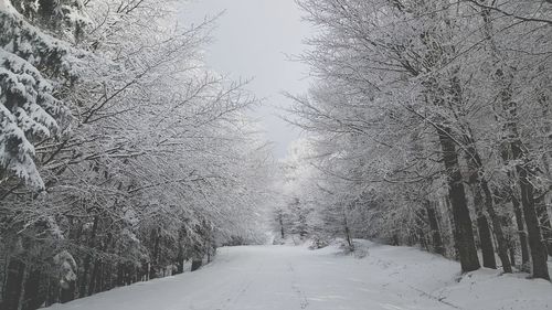 Snow covered landscape against sky