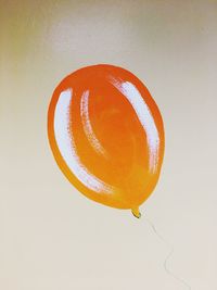 Close-up of orange leaf over white background