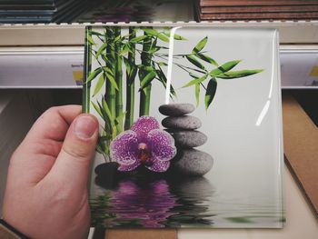 Close-up of hand holding flowers