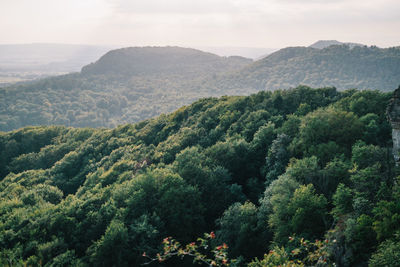 High angle view of trees and mountains against sky