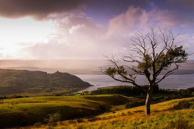 Scenic view of landscape against sky