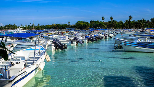 Boats moored in harbor