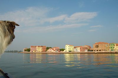 Sea by residential district against sky