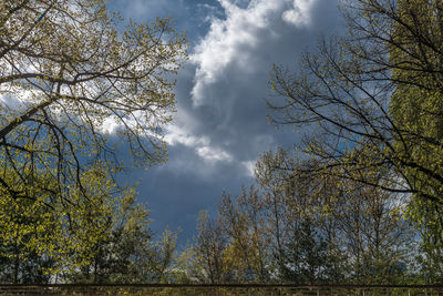 Low angle view of bare trees against cloudy sky