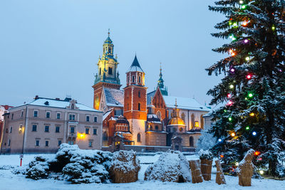 Illuminated christmas tree by building against sky during winter