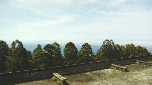 Scenic view of trees against sky