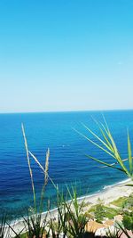 Scenic view of sea against clear blue sky