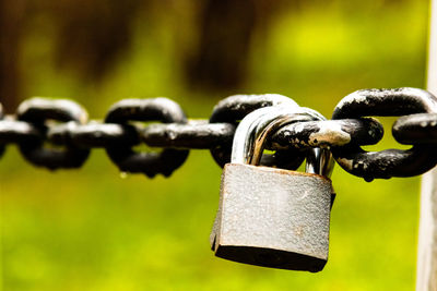 Close-up of padlocks hanging on metal chain